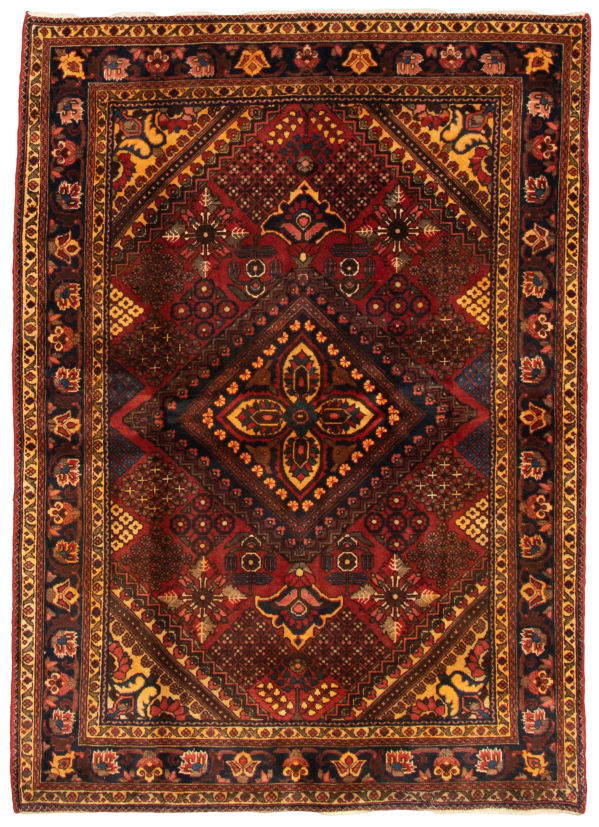 Persian Bakhtiari 4'7