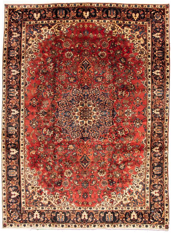 Persian Bakhtiari 10'2