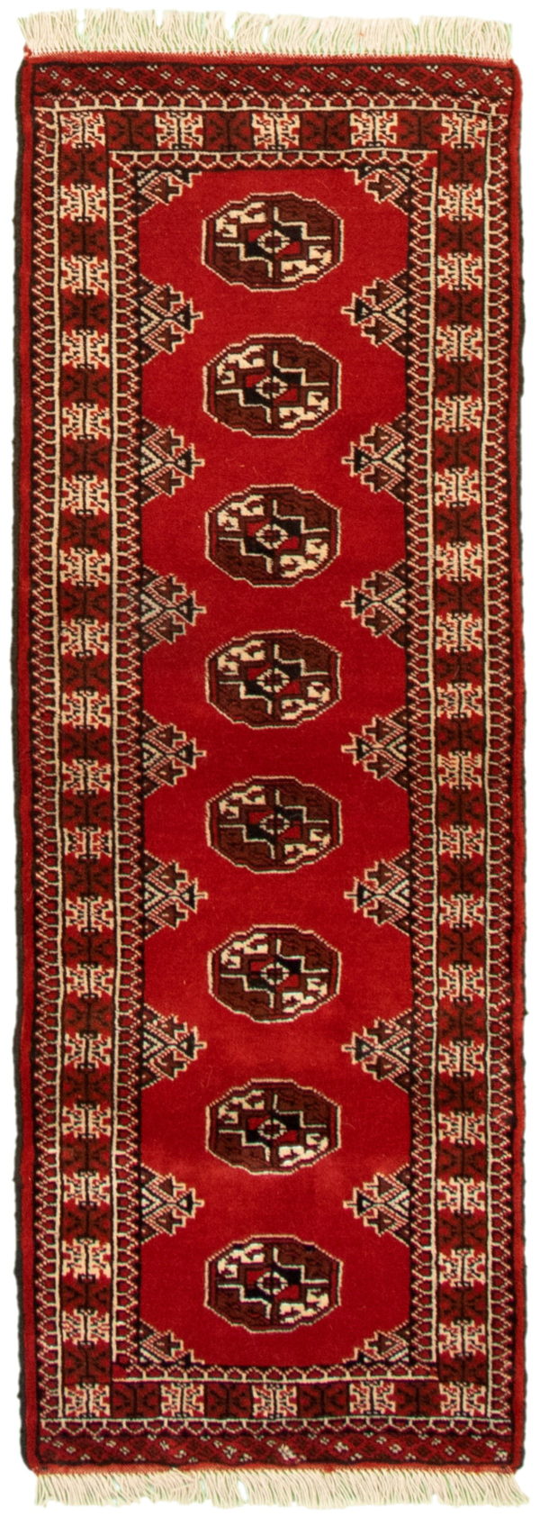 Turkman 2'1
