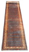 Indian Royal Sarough 2'8