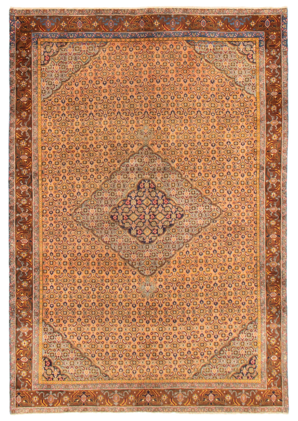 Persian Ardabil 6'5