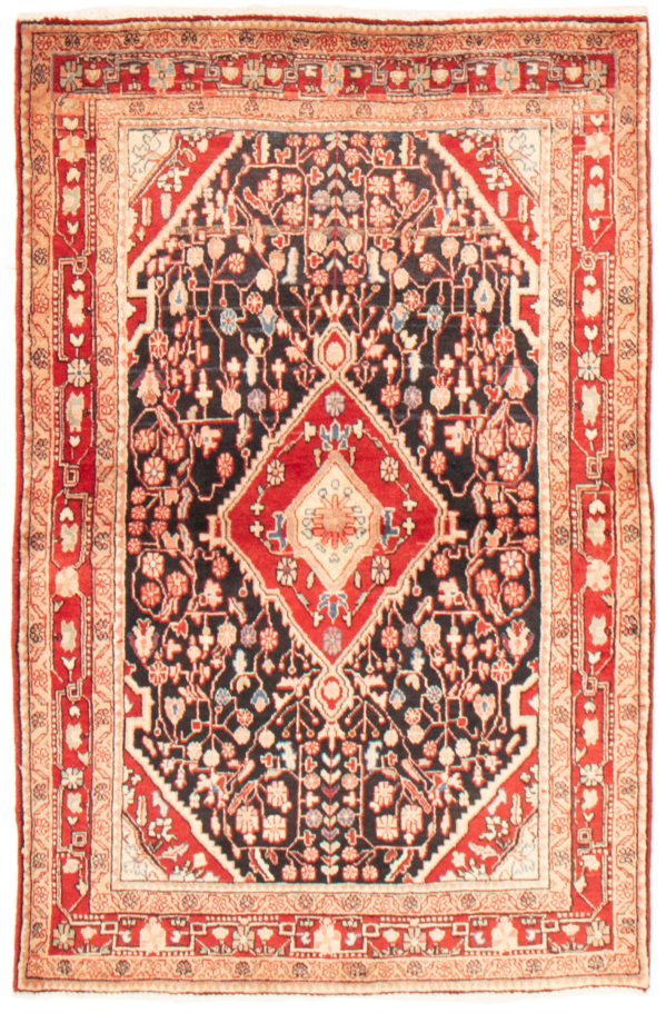 Persian Touserkan 3'5