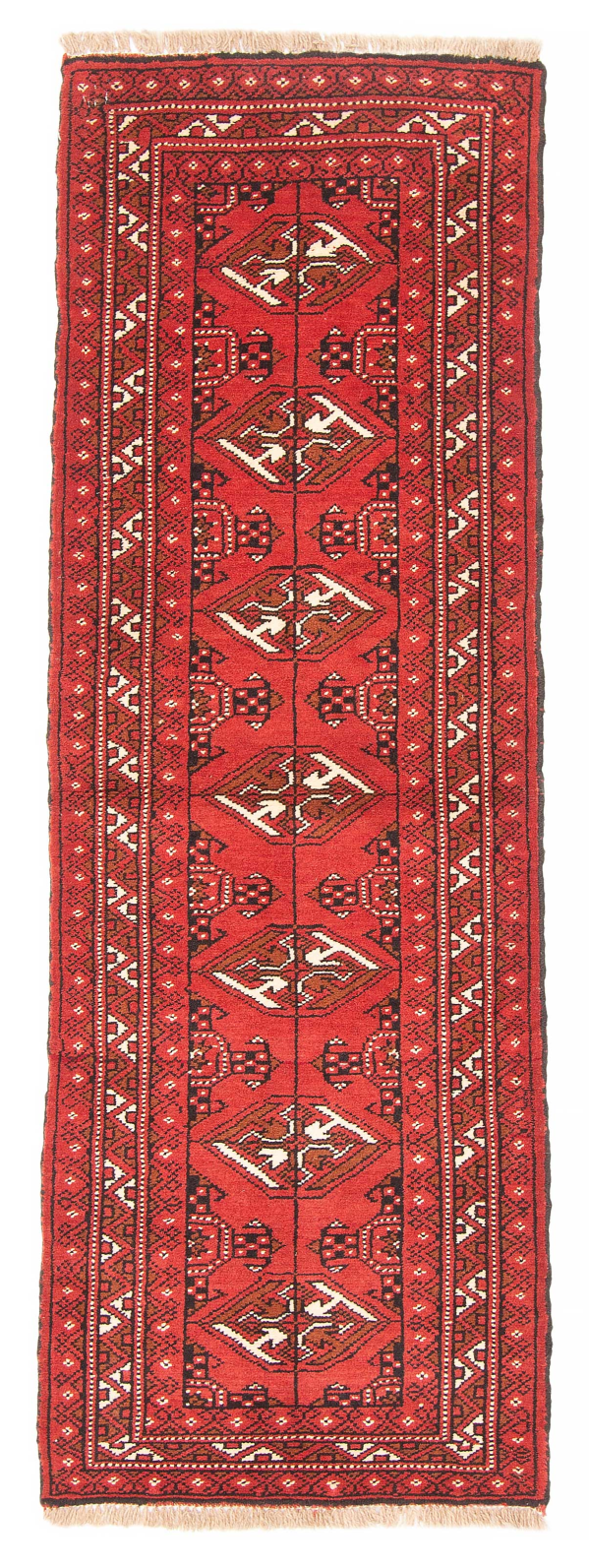 Persian Turkoman 2'4
