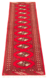 Persian Turkoman 2'5