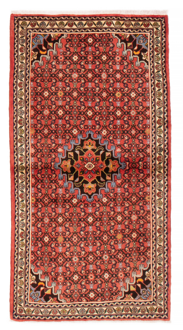 Persian Roodbar 3'5