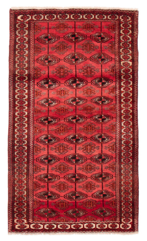 Persian Turkoman 4'0