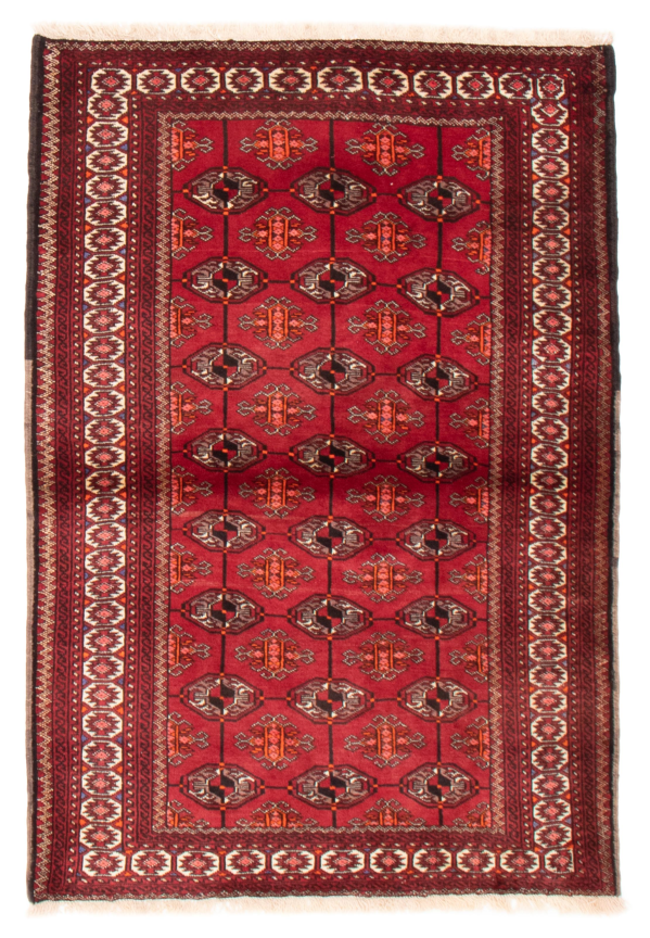 Persian Turkoman 4'4