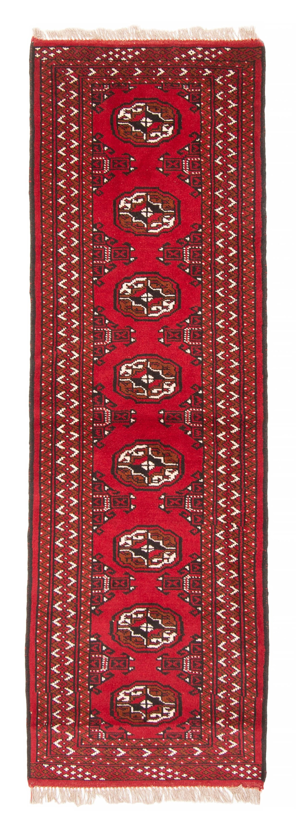 Persian Turkoman 2'0