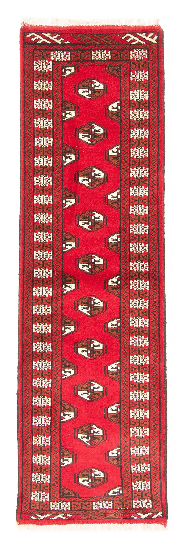 Persian Turkoman 1'10