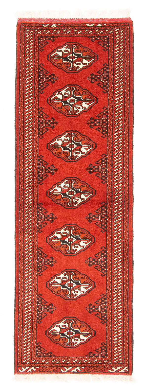 Persian Turkoman 2'1