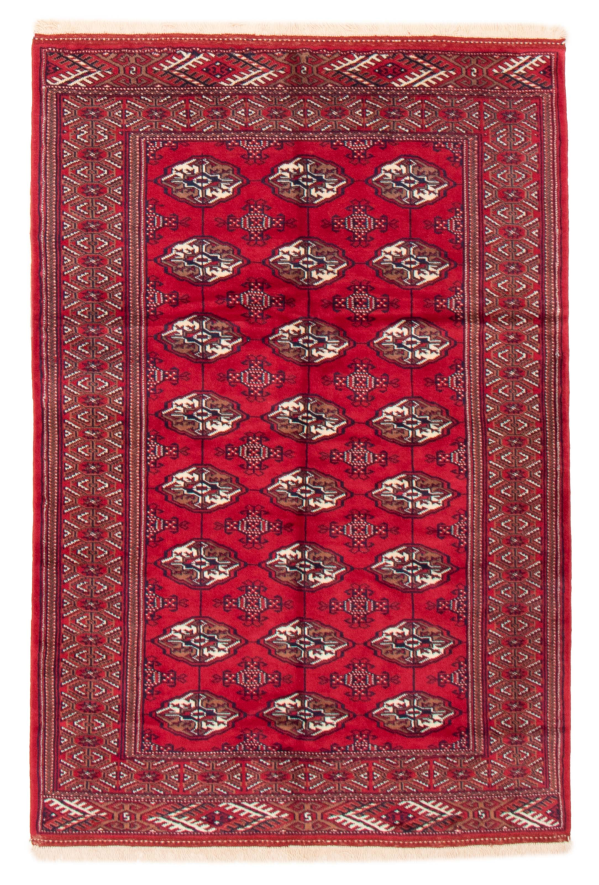 Persian Turkoman 4'3