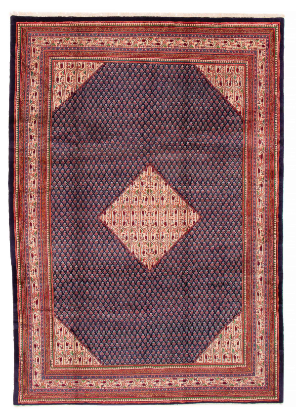 Persian Arak 7'2
