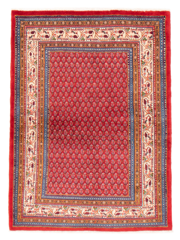 Persian Arak 3'8