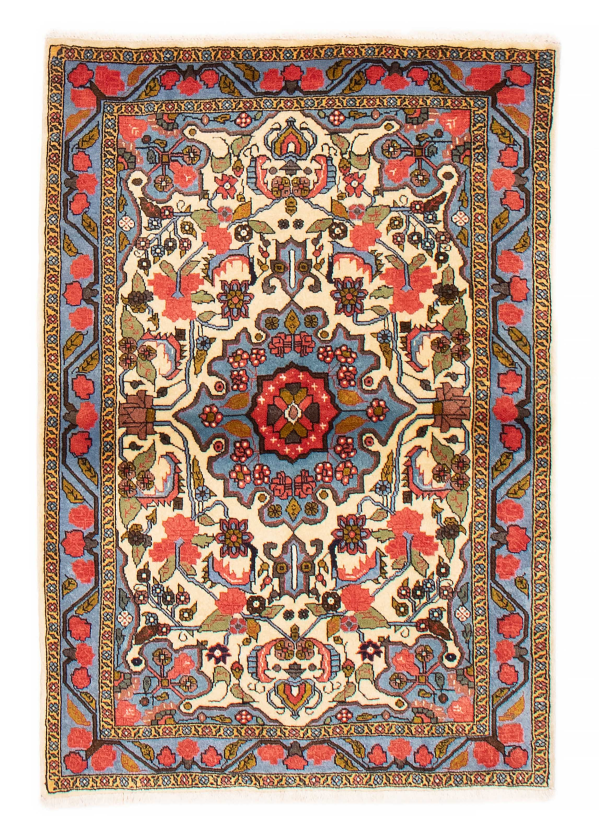 Persian Bakhtiari 3'4