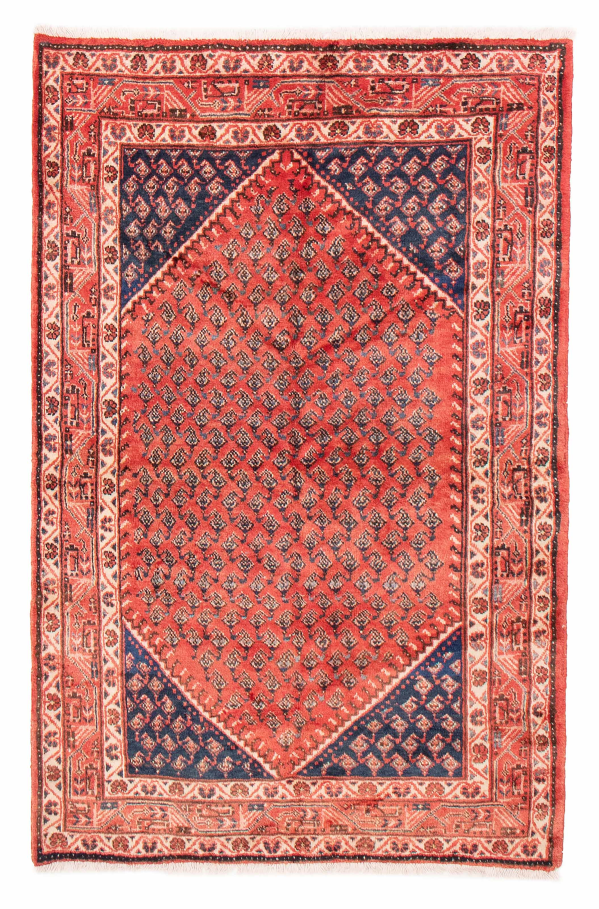 Persian Arak 4'2