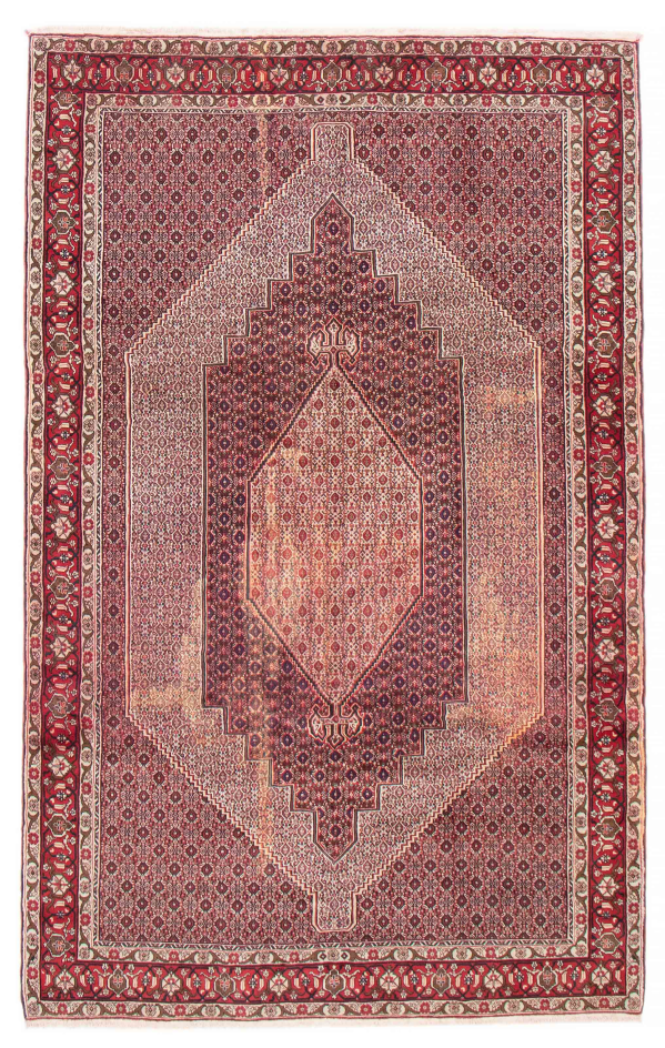 Persian Senneh 6'7
