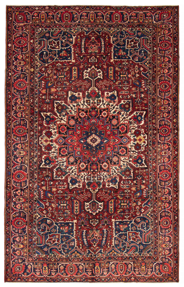 Persian Bakhtiari 11'6