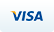 visa payment